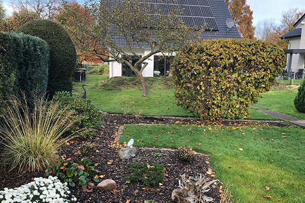 Ein weißes Haus mit Garten, Baum und Beet