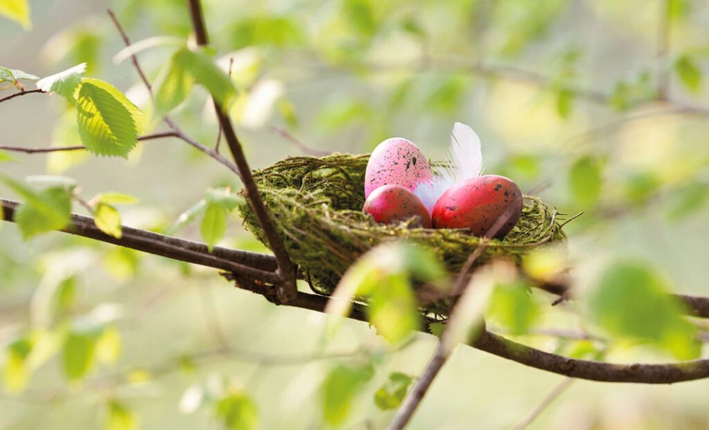 Ein buntes Ostereiernest in einem Baum