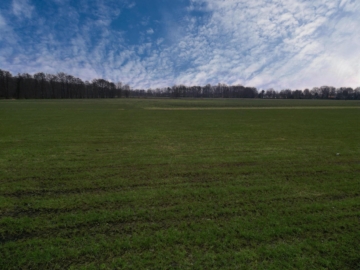 Ausblick über Wiesen und Felder - Doppelhaushälfte mit Blick ins Grüne***4195 G in Gütersloh-West