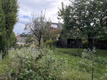 Garten - Familie mit handwerklichem Geschick gesucht! *** 4172 G Doppelhaushälfte in GT-Spexard
